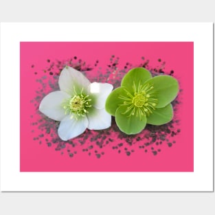 wonderful blooming flowers in green and white Posters and Art